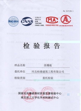 洩爆闆檢驗報告